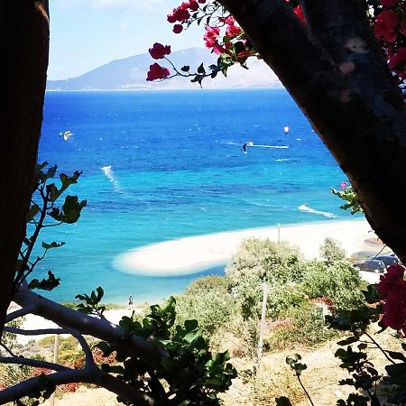 Marmari Megali Ammos Oasis Apartment & Studio Agia Marina  외부 사진